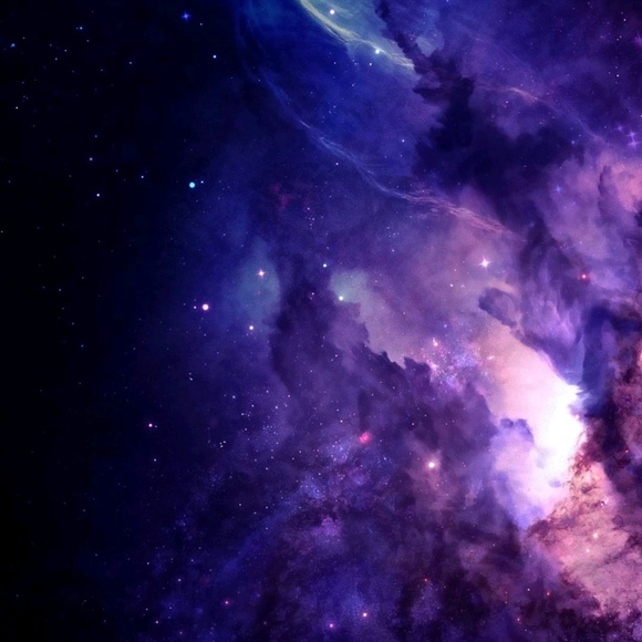 Meet your Posher, Emma - Picture 1 of 1